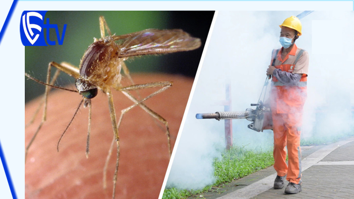 İngiltere'de 'chikungunya virüsü' vakaları iki kattan fazla arttı